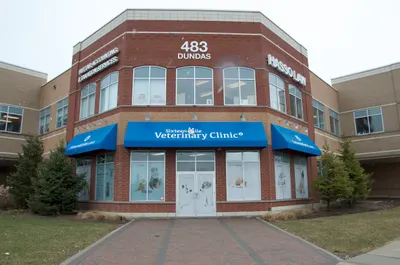 Clinic entrance from Dundas Street