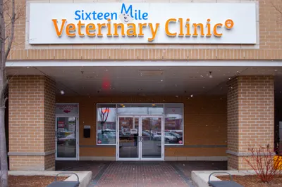 Clinic entrance from the plaza
